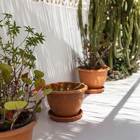 El Piloto Casa Canaria By Chic Fuerteventura Homestay