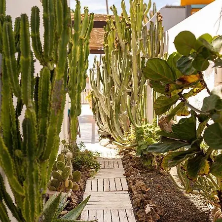 El Piloto Casa Canaria By Chic Fuerteventura * Corralejo
